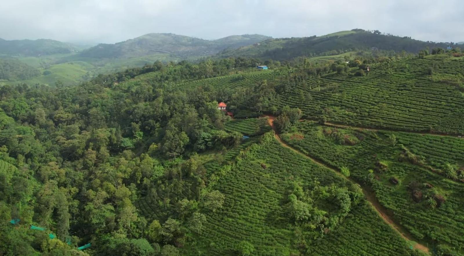 Tea Haven By Yathroam Pensionat Vagamon Exteriör bild